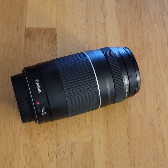 Fairly new Canon telephoto zoom lens
